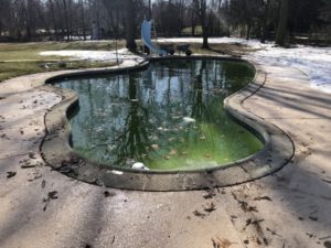 How to Clean A Pool With Green Water