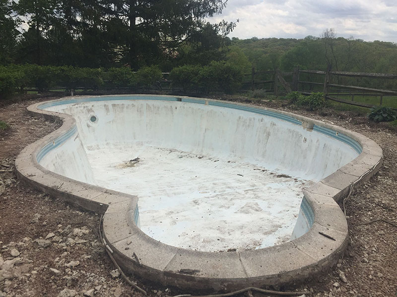 pool renovation services