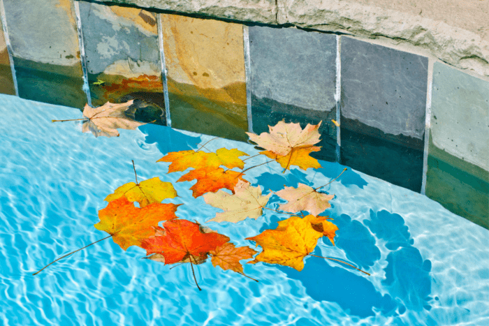 How to Keep Your Pool Free of Debris