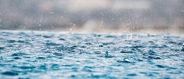rainwater in pool